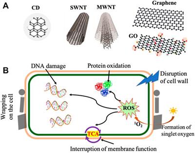 Sustainable and Repulpable Barrier Coatings for Fiber-Based Materials for Food Packaging: A Review
